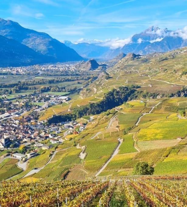 Appartement Vitis-Au Coeur Du Vignoble Valaisan à Saint-Léonard Extérieur photo